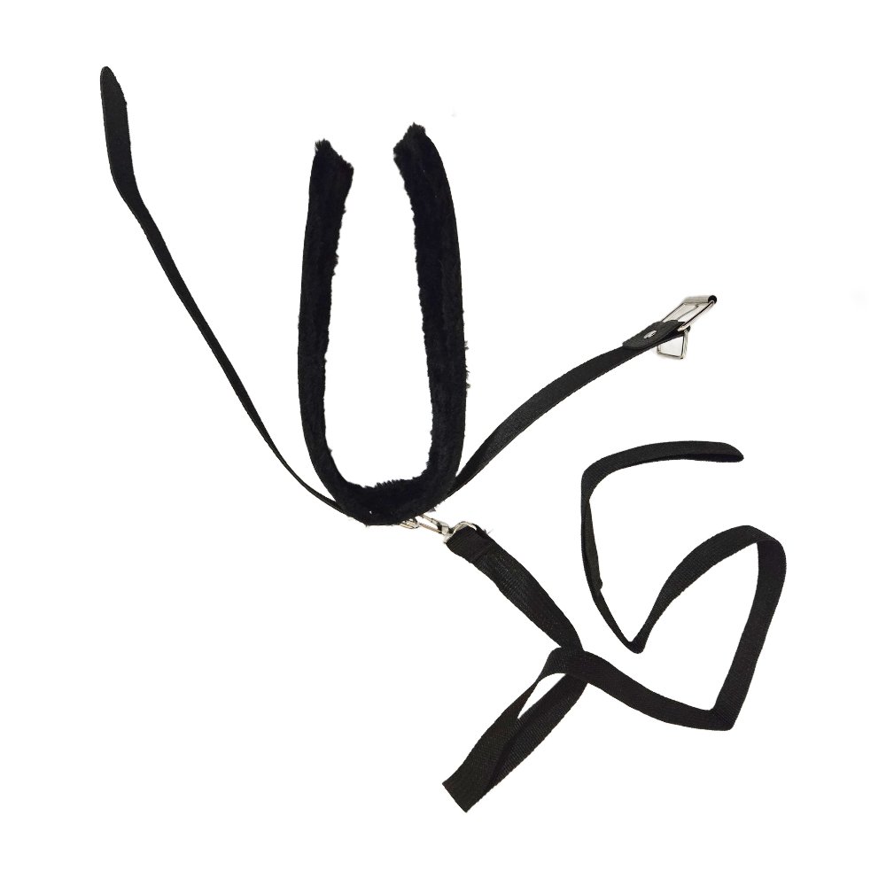 Halsband mit Leine Plüsch gepolstert